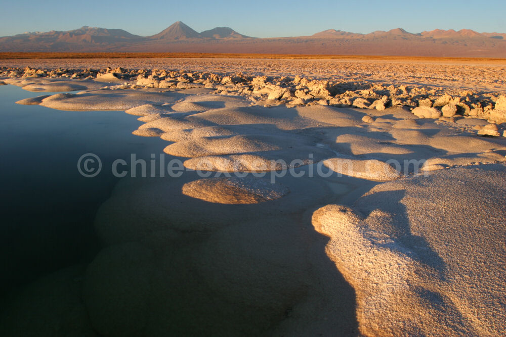 Laguna Cejar, Salar de Atacama, Chili. Crédit Excepcion Chile