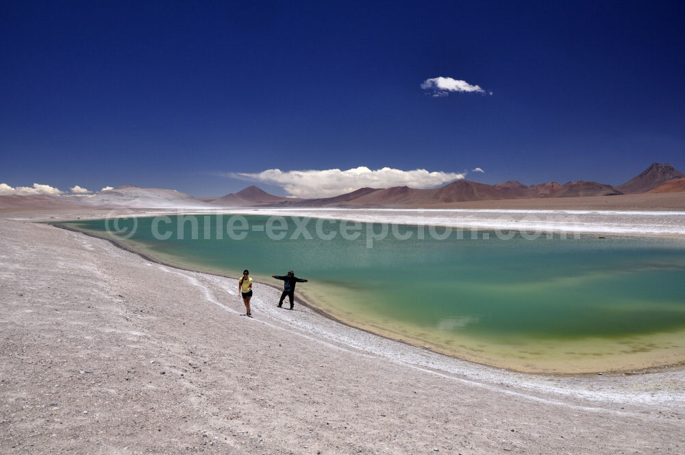 Salar de Pujsa, Atacama, Chili