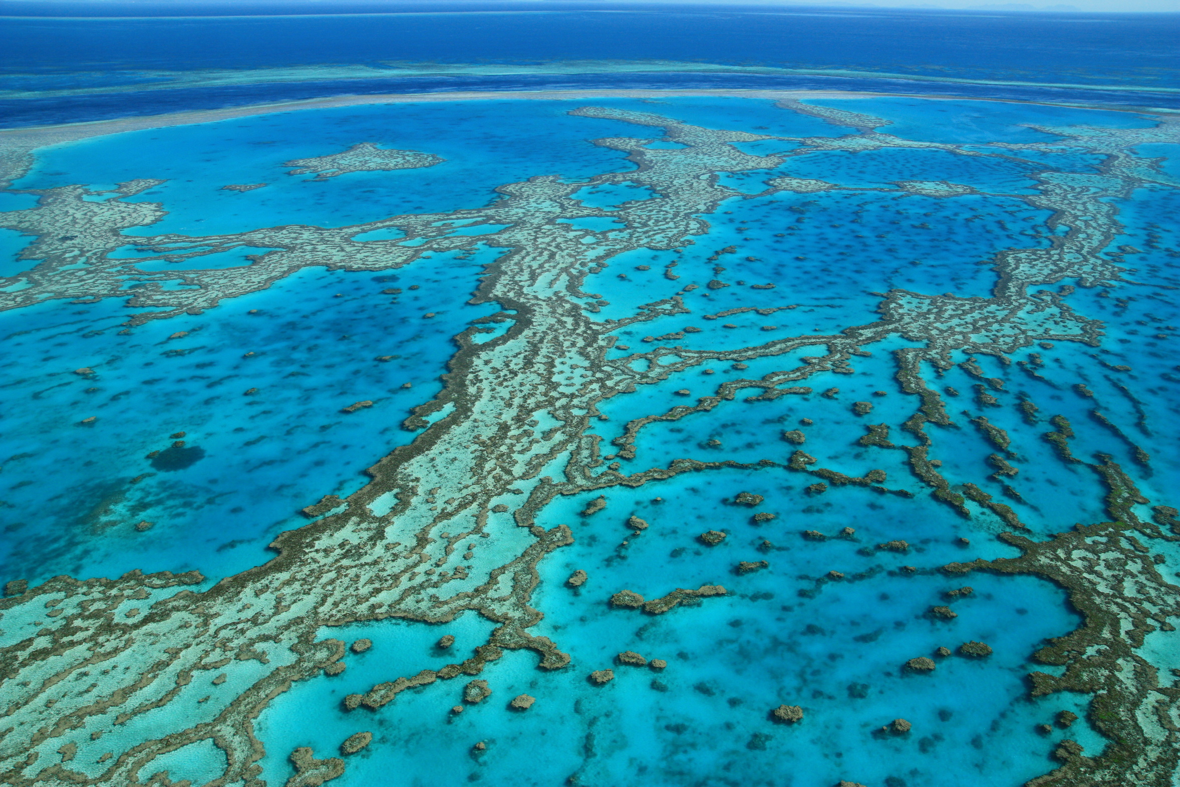 Photo de la grande barriere de corail dans le queensland en australie
