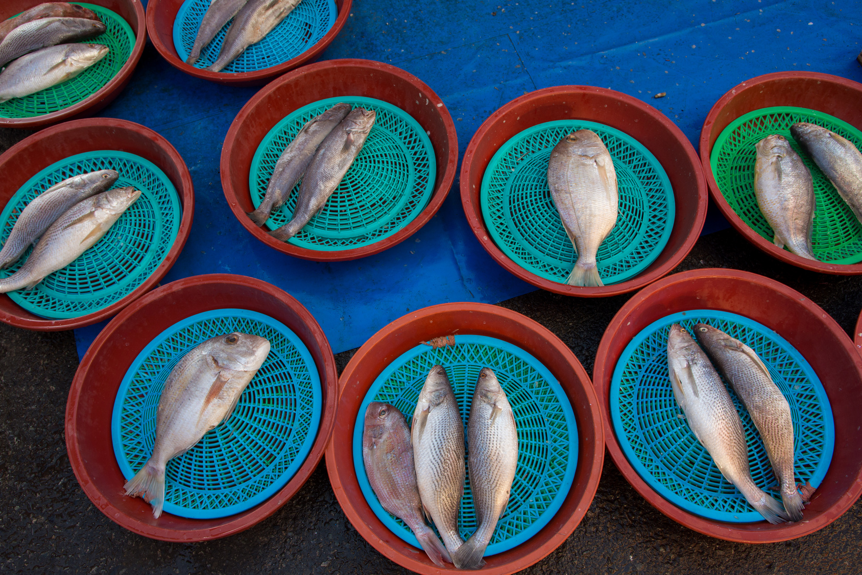 poisson marché de gukje en coree du sud