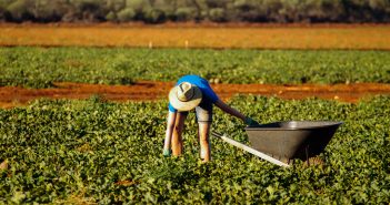 Australie : le niveau de taxe des backpackers finalement réduit ? La Backpacker Tax en débat au gouvernement