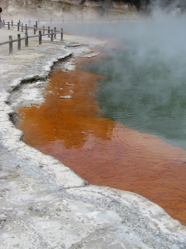 Rotorua - Champagne Pool