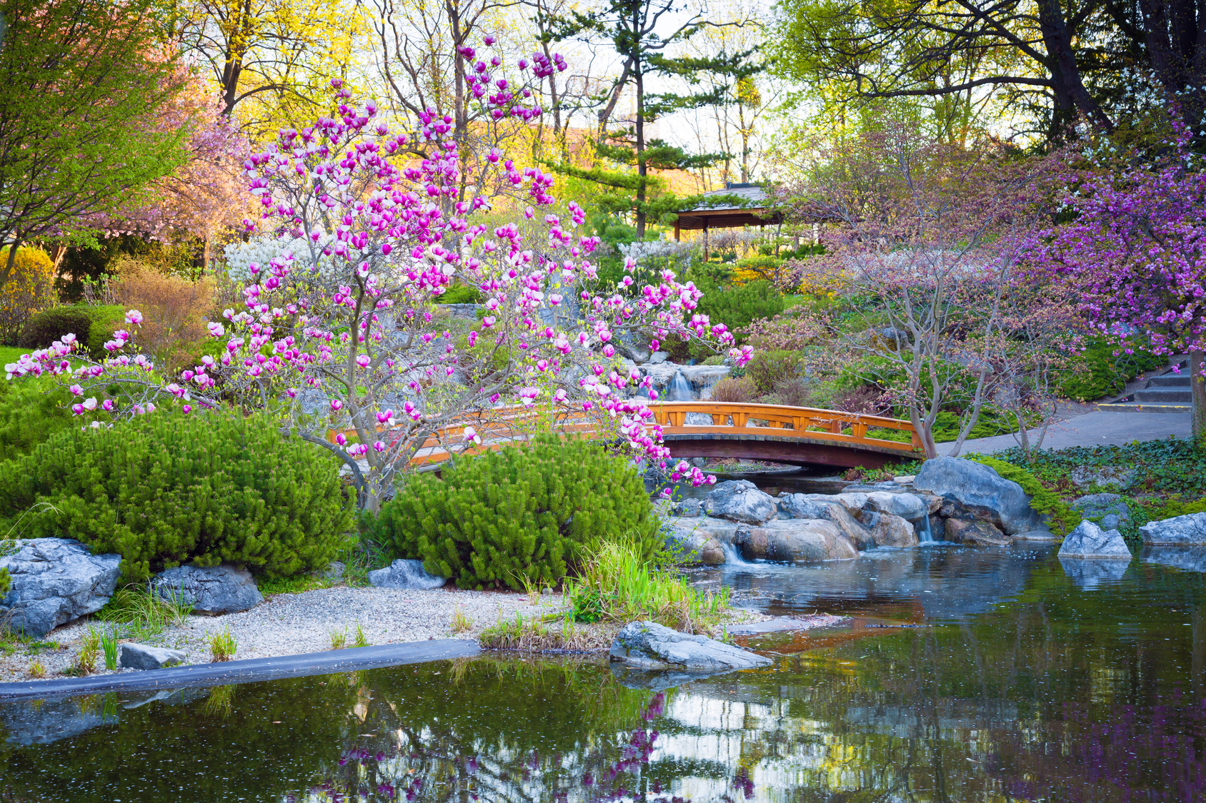 jardin japonais