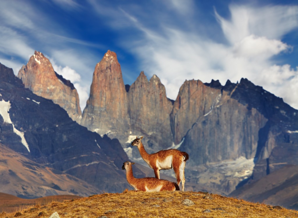 Torres del Paine, Patagonia, Chile
