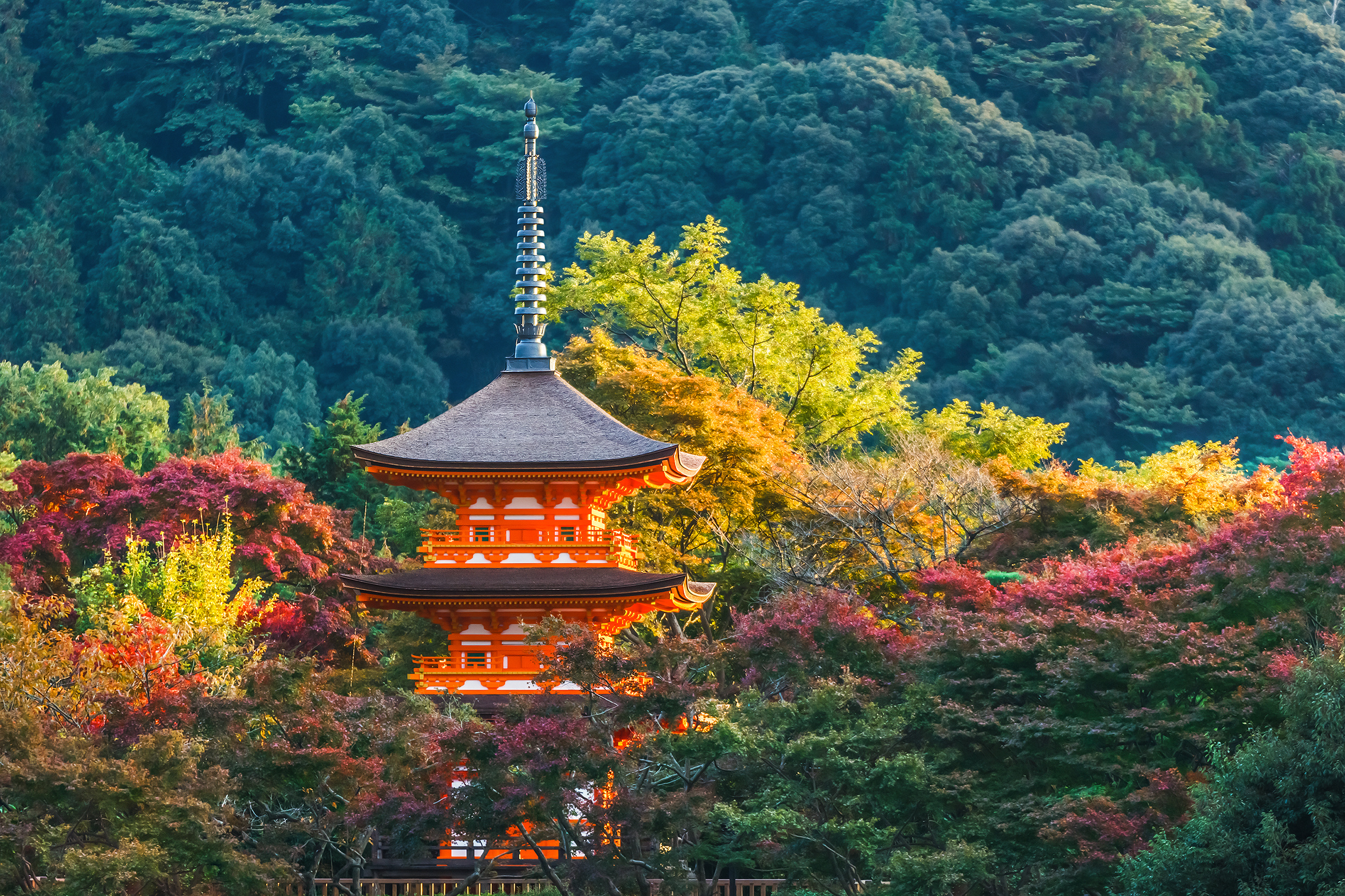 Japon : les cartes électroniques valables dans tout le réseau !