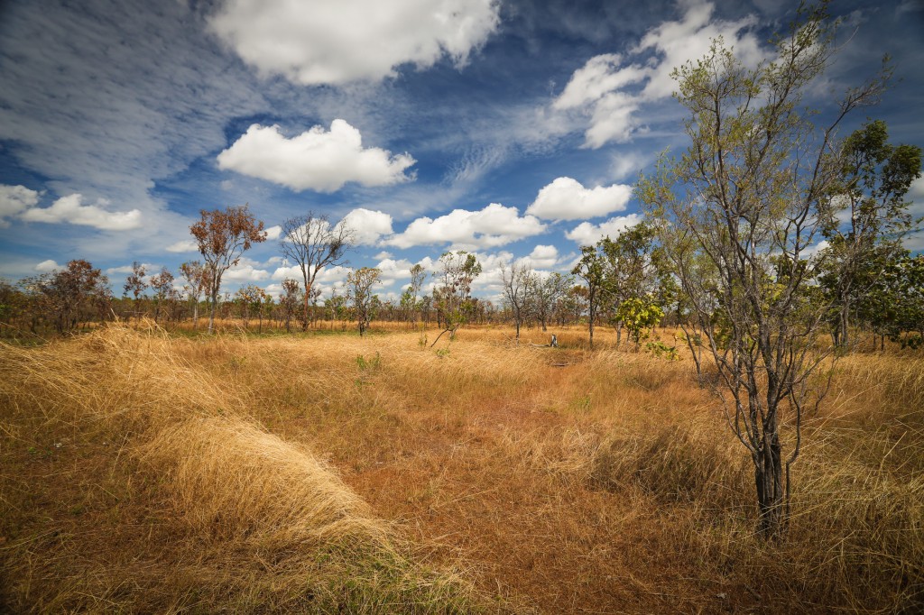 Landscape of Kakadu National Park, Australia