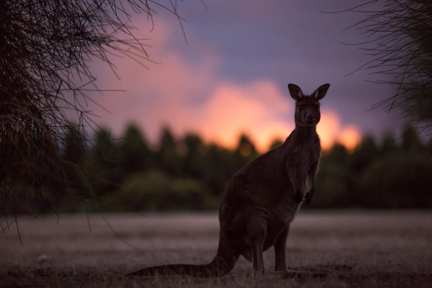 @Tourisme australia