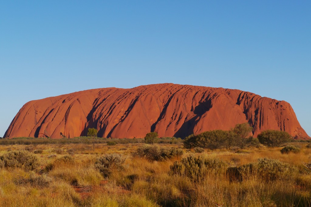 Ça vallait le coup de travailler 6 mois pour s'offrir ce road trip à uluru ! Merveilleux ! 