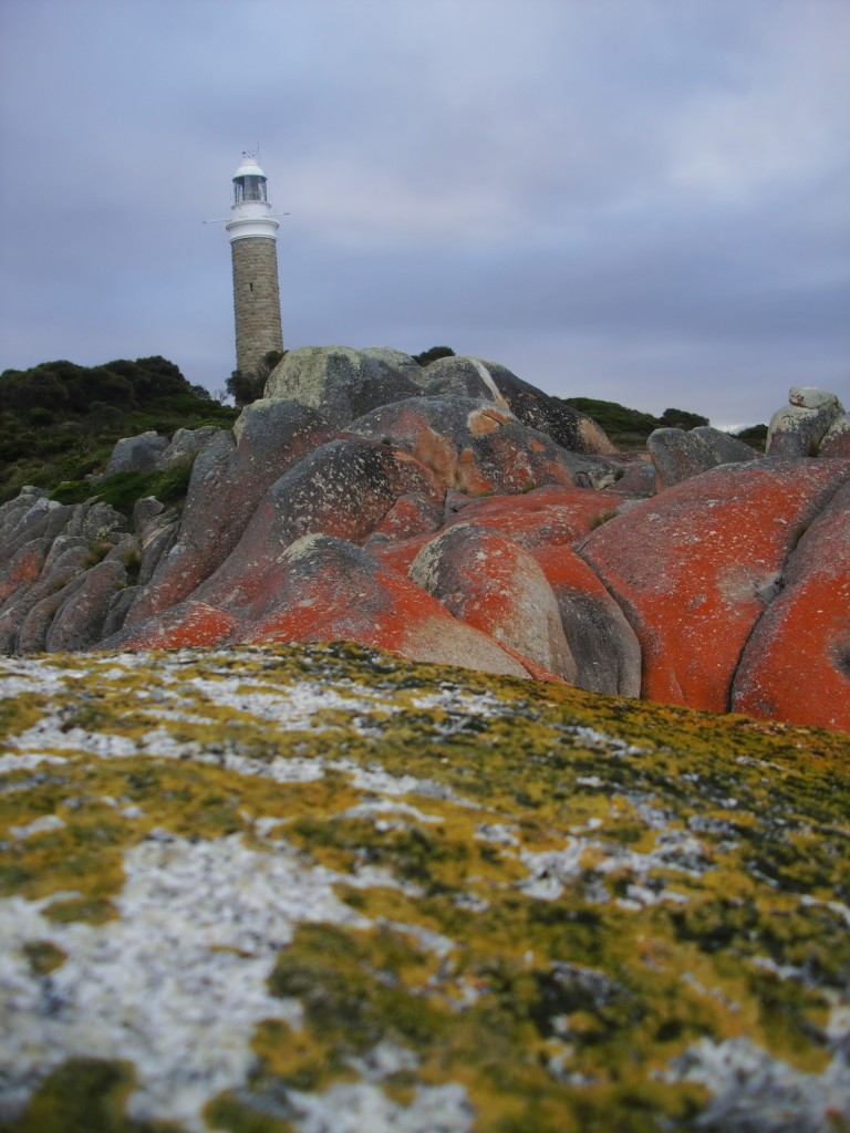 © Romain Dondelinger Tasmanie Bay of Fires  6