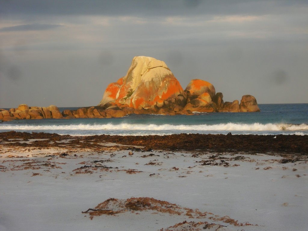 © Romain Dondelinger Tasmanie Bay of Fires 7