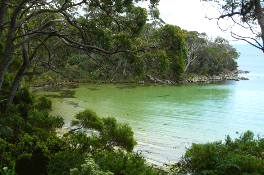 ©-Romain-Dondelinger-Tasmanie-Bruny-Island-4