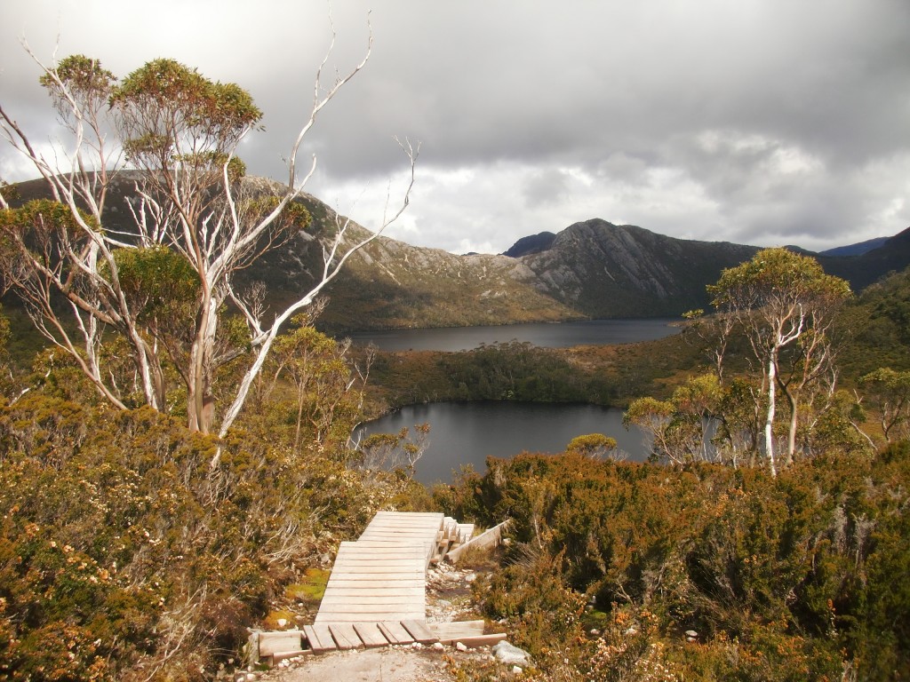 © Romain Dondelinger Tasmanie Cradle Mountain 8