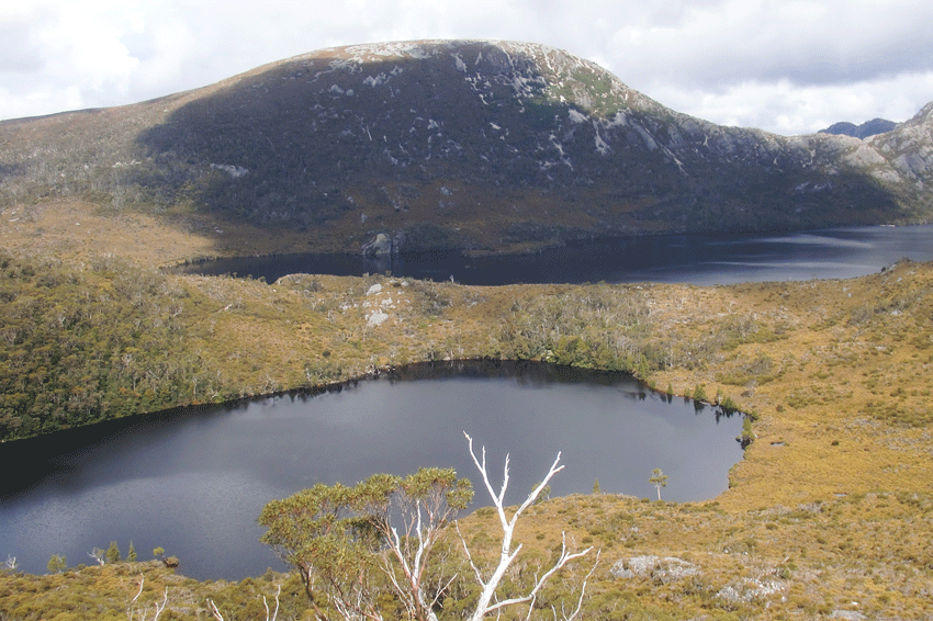 © Romain Dondelinger Tasmanie Cradle mountain (2)