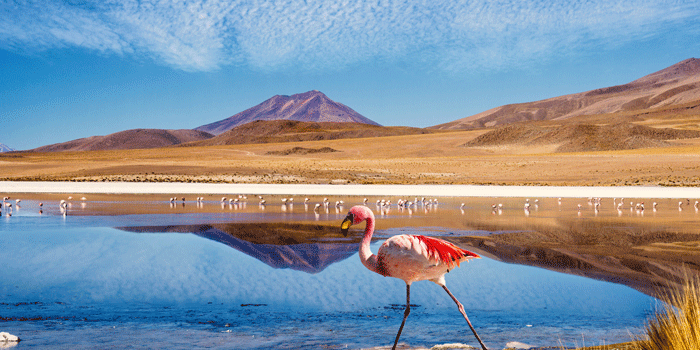 Itinéraire de road trip : le nord-ouest de l’Argentine en 13 jours