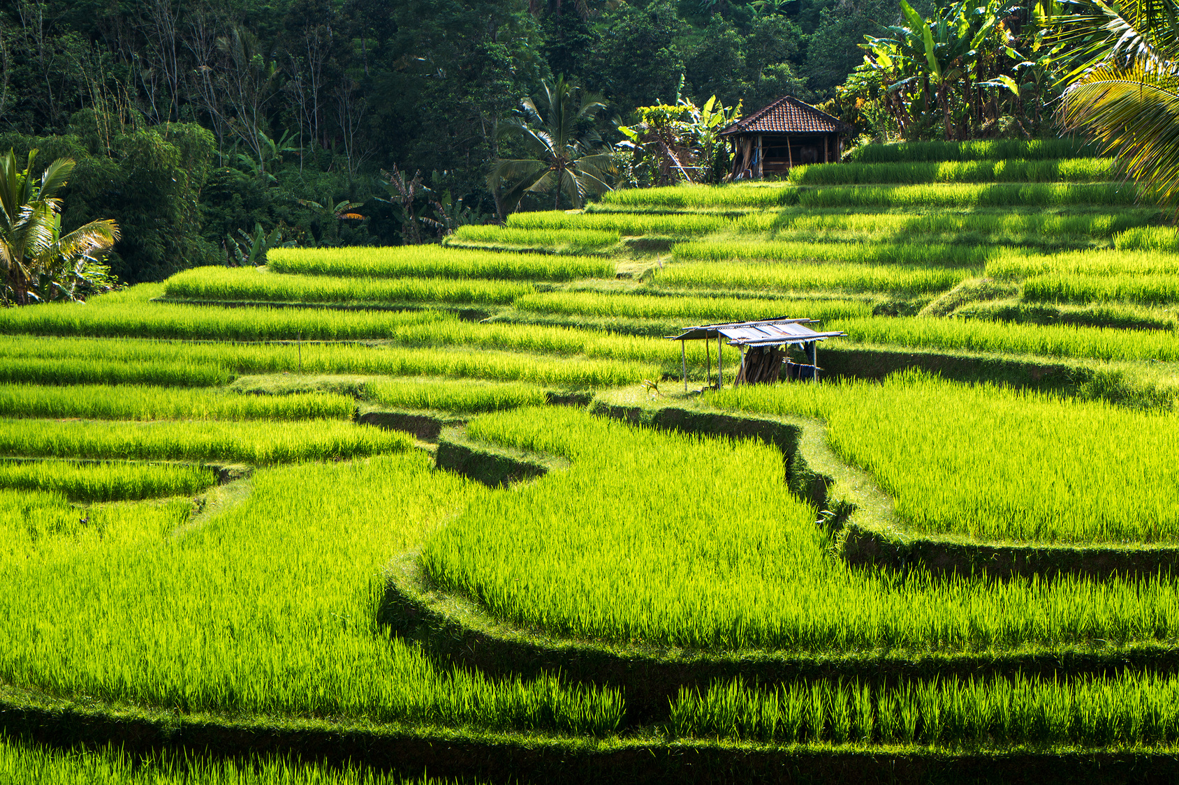 escale a bali