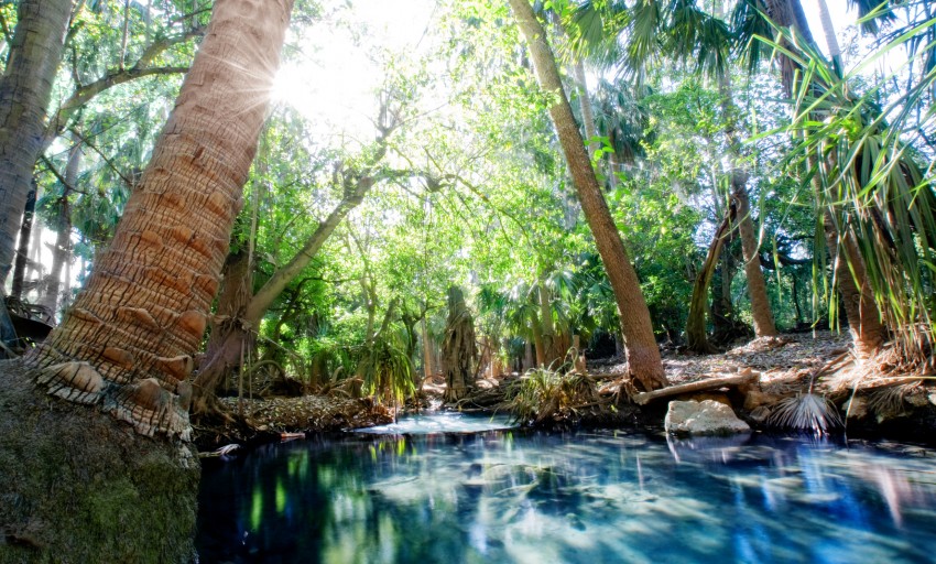 Photo des bains a mataranka en australie