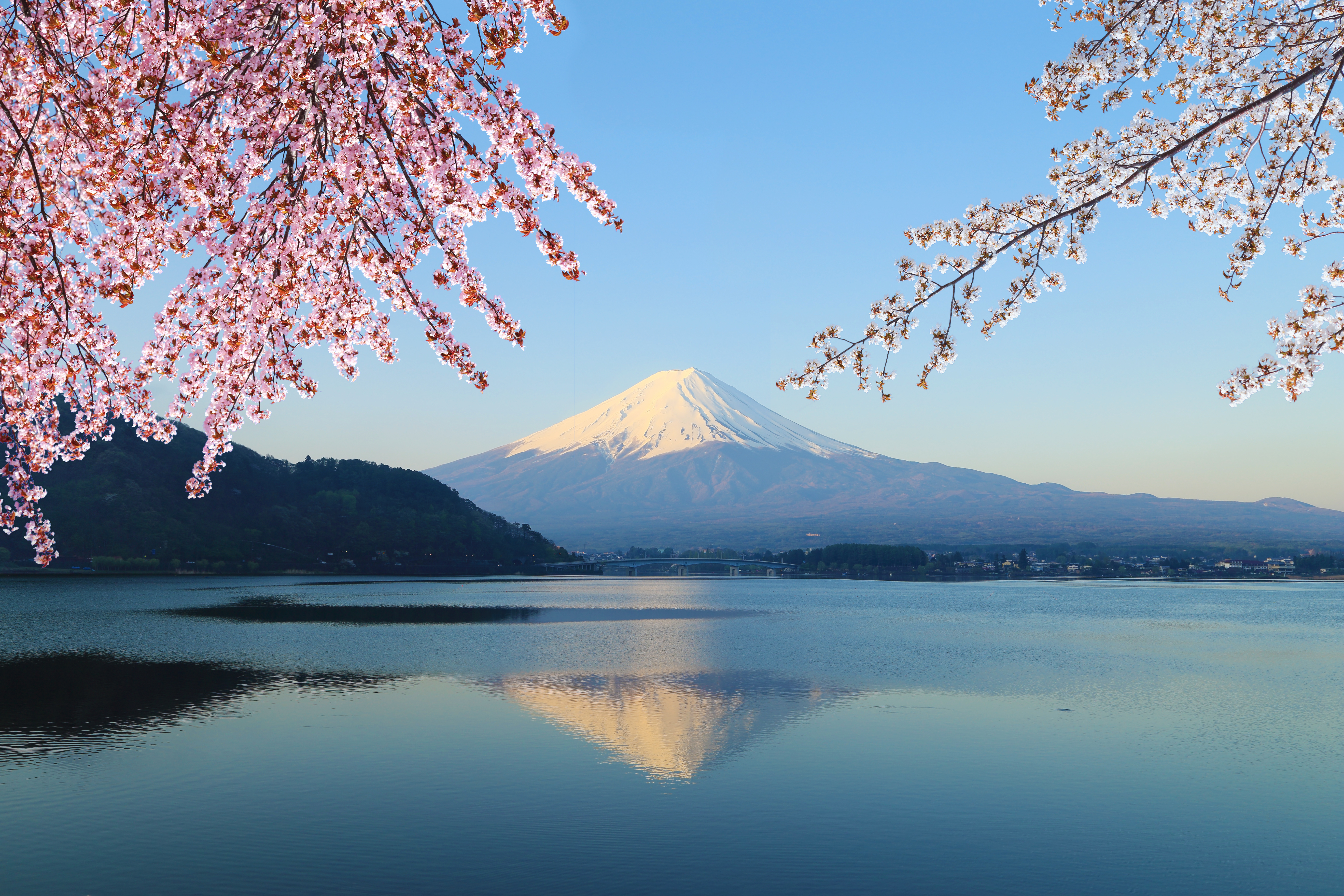 Photo du mont Fuji, incontournable pour un WHV Japon