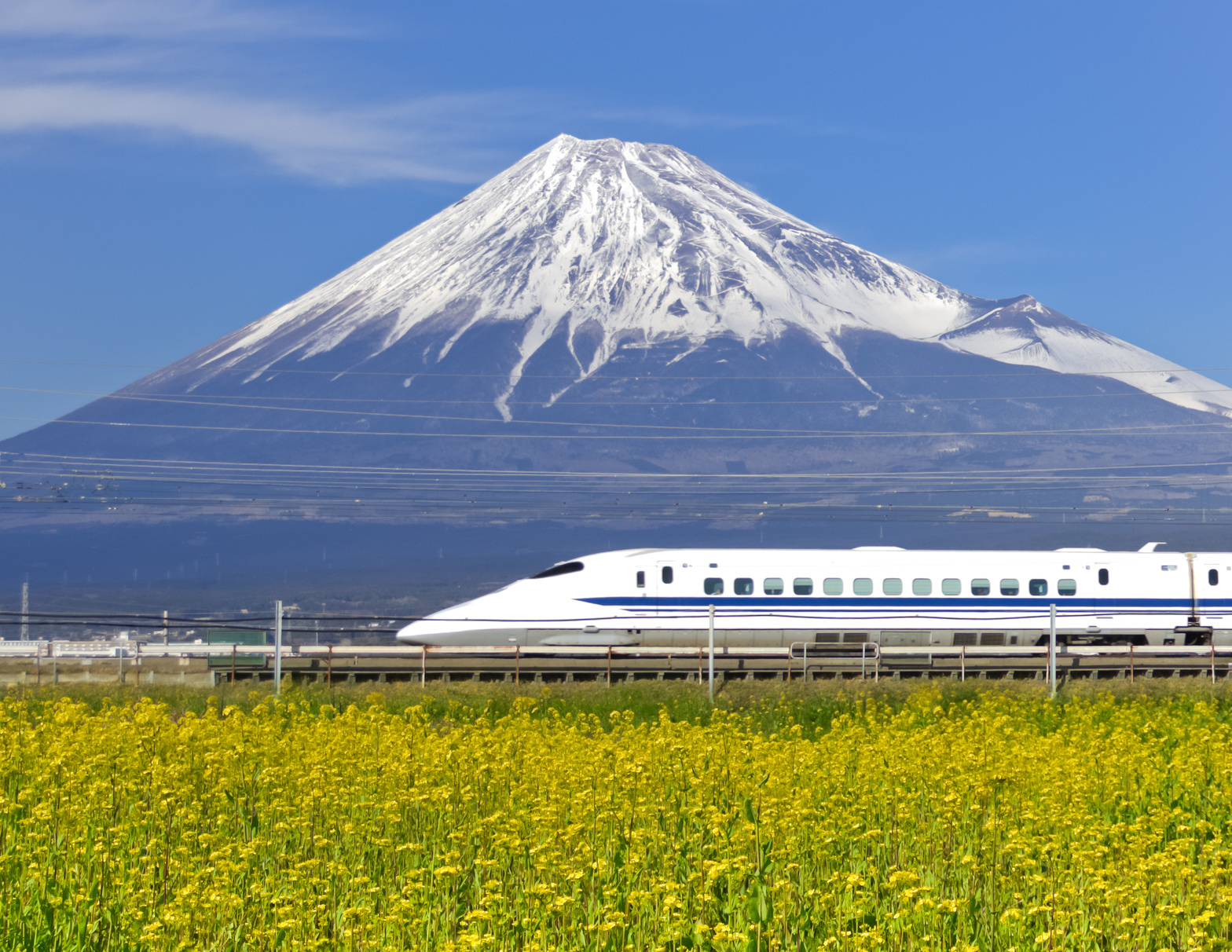 Photo d'un shinkansen devant le mon fuji, un incontournable en WHV Japon