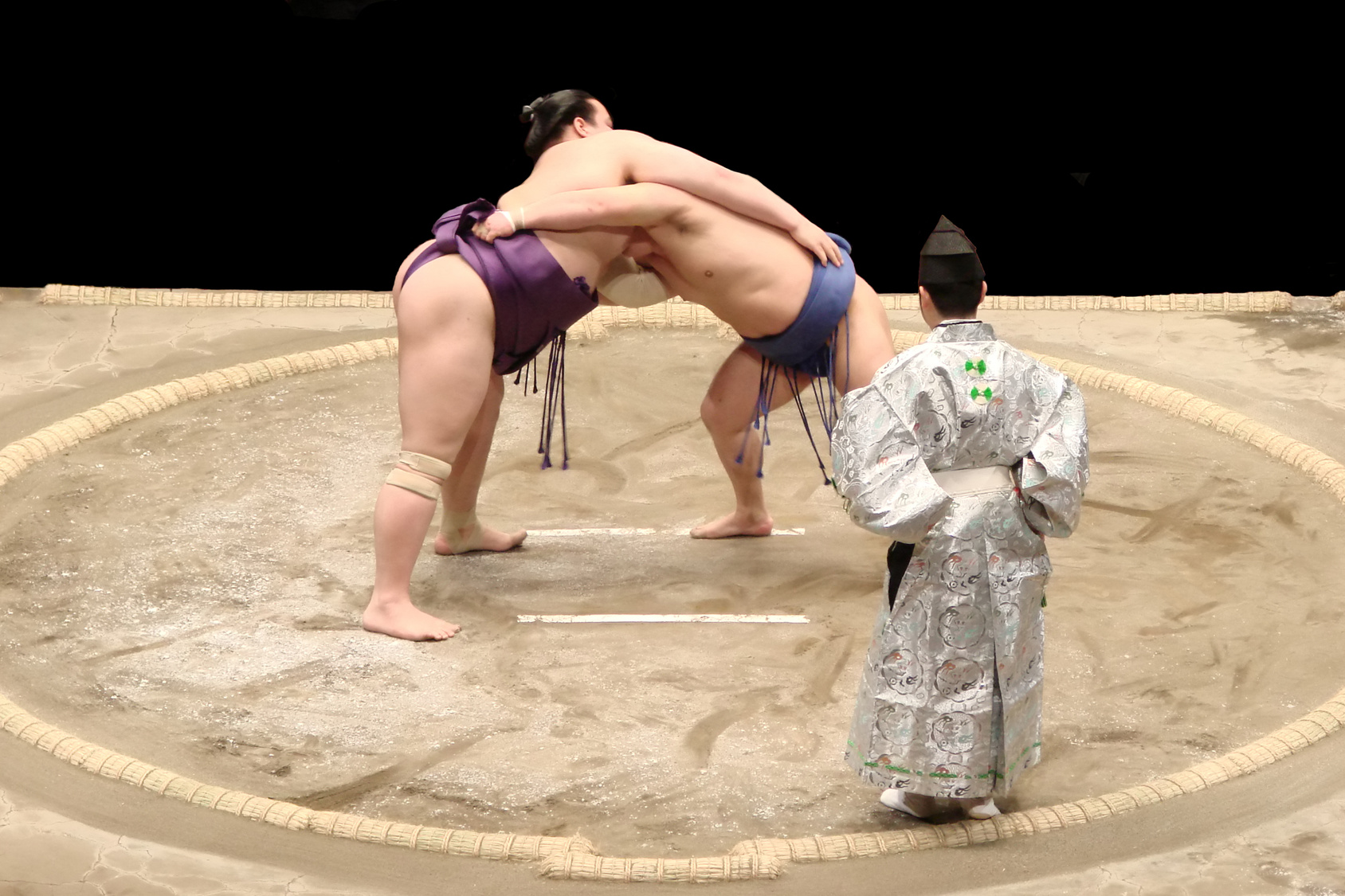 Photo d'un combat de sumo, un incontournable en WHV Japon