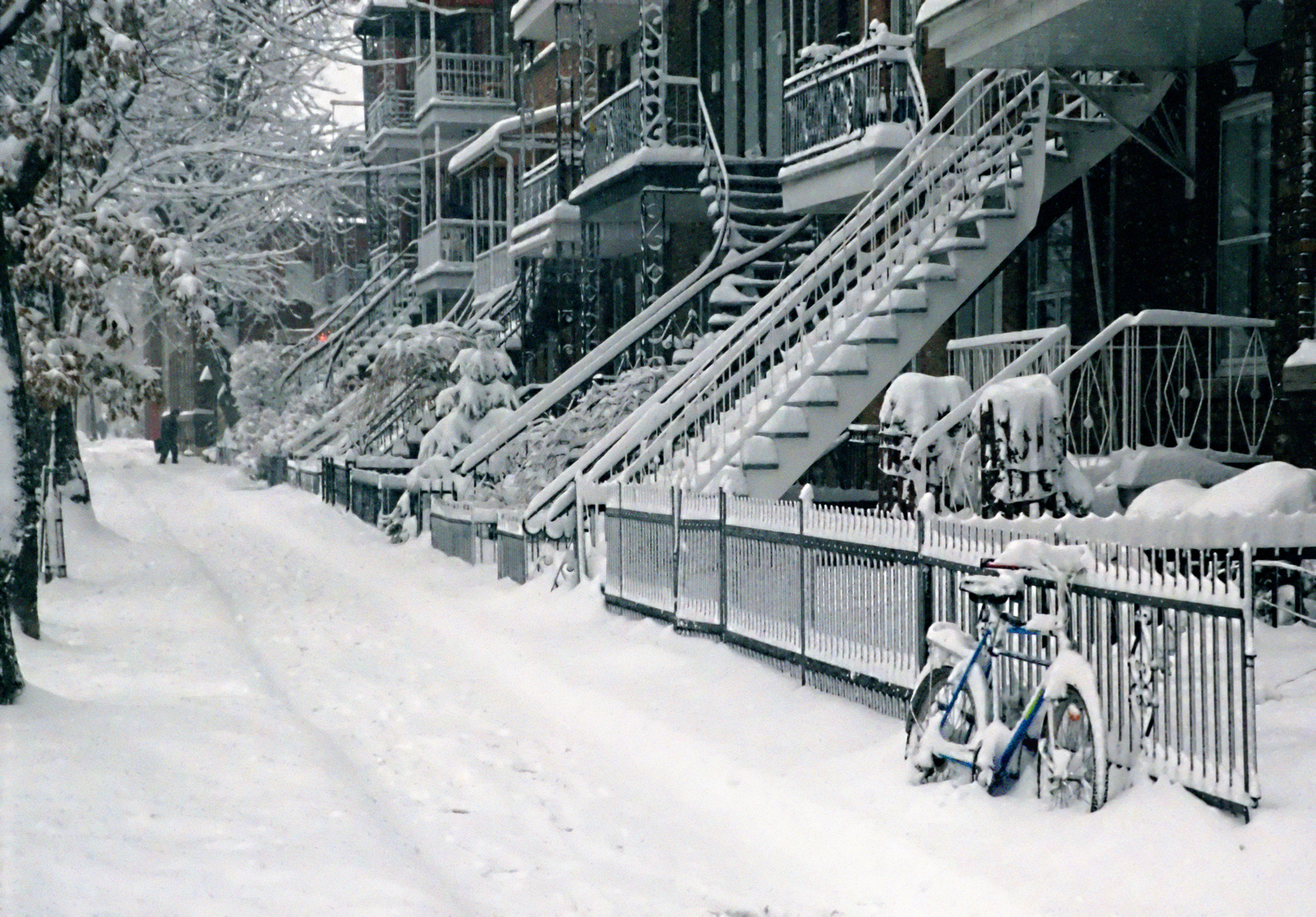 -10°C à Montréal l’hiver ! On sort ?