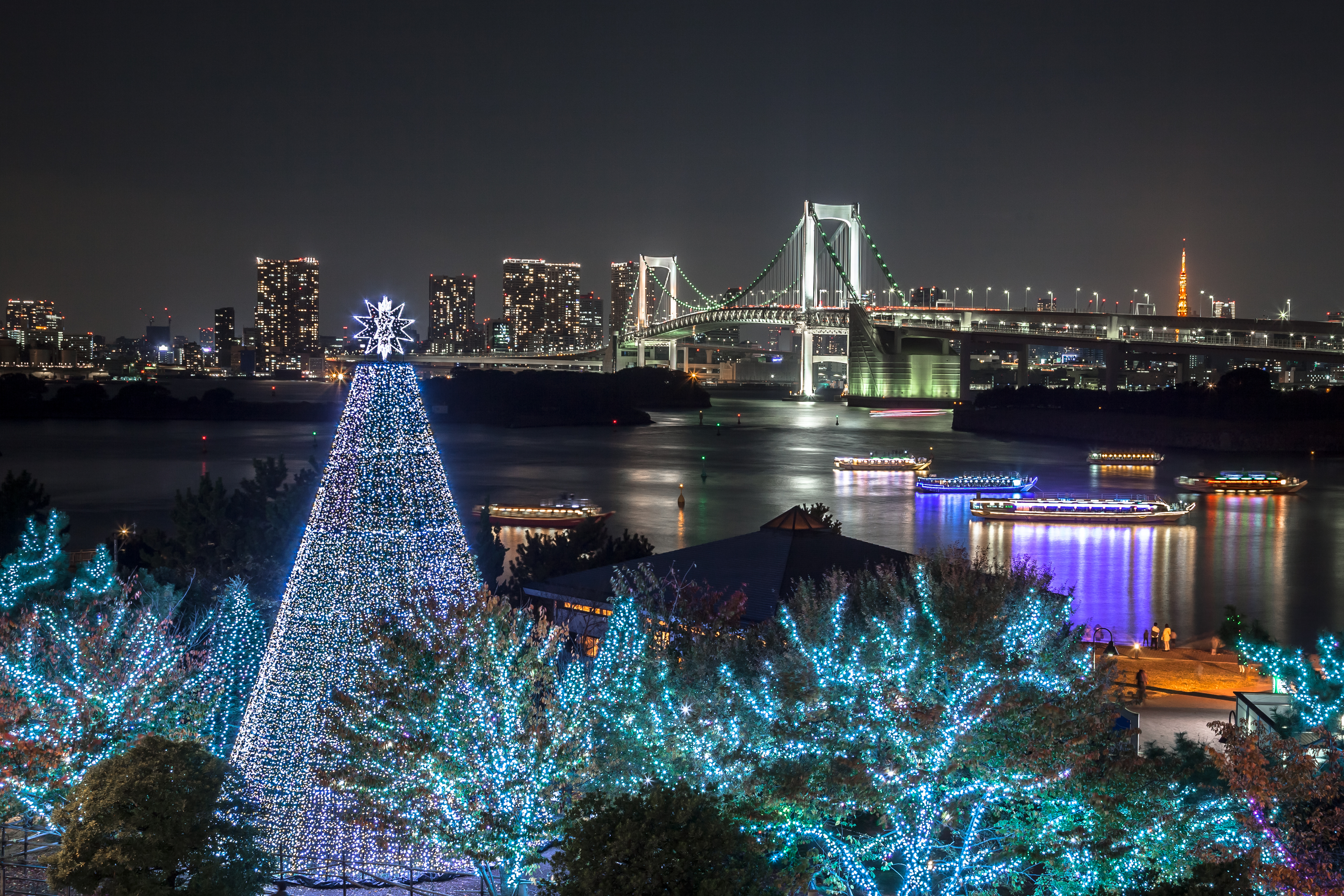 illumination de noel au Japon