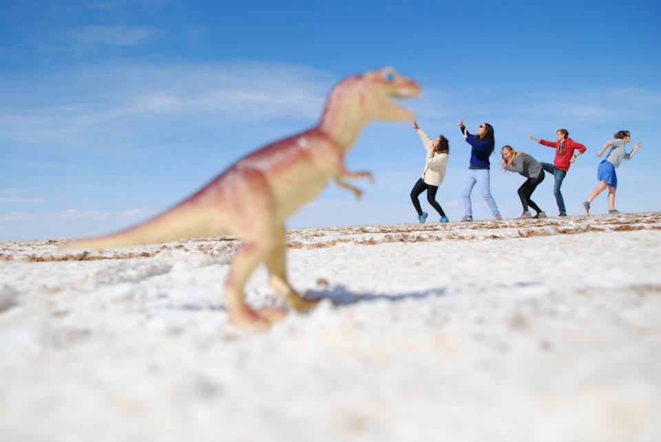 Desert de sel Salinas Grandes Argentine