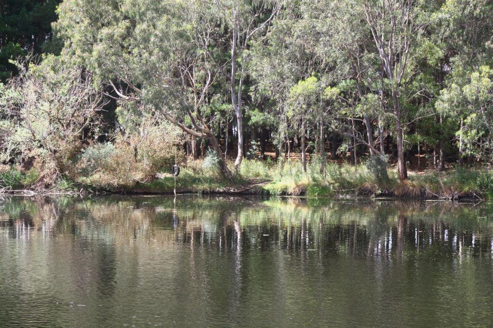 Great Otway National Park