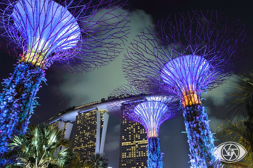 Singapour : 5 must see de la cité d’Asie du sud-est