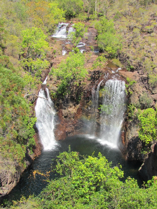 Florence falls