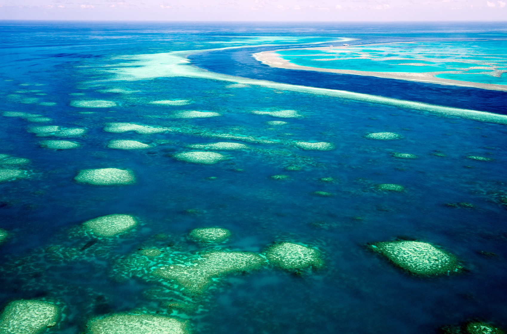 grande barriere de corail australie