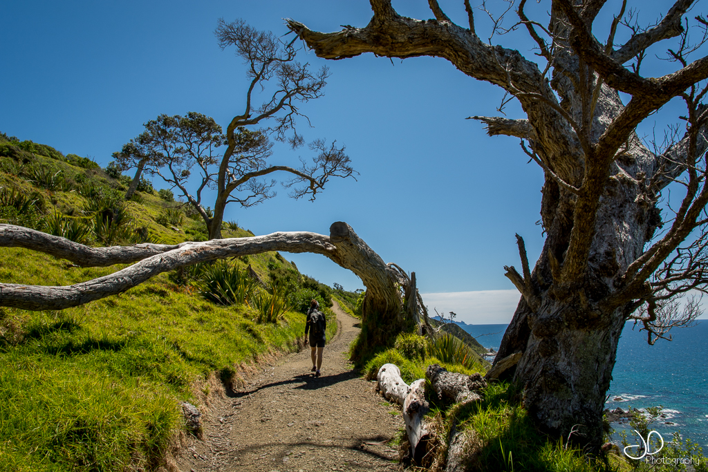 randonnee mangawhai heads