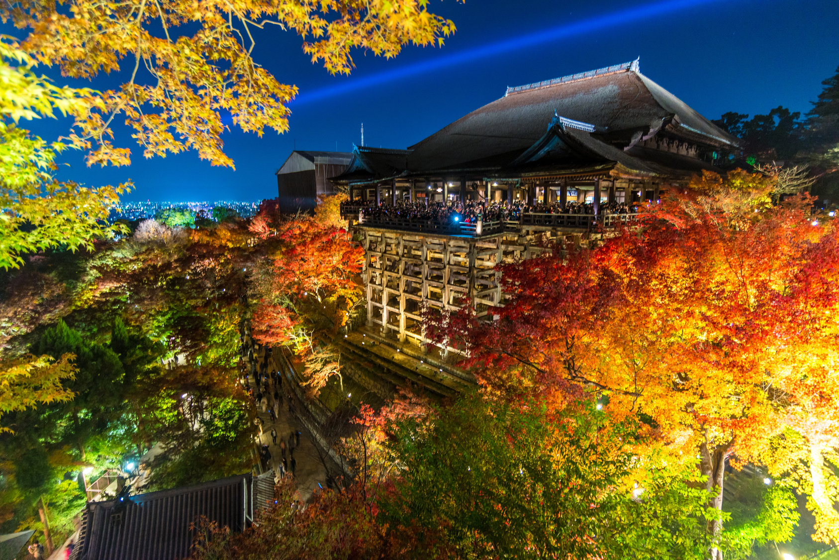 boite de nuit au japon