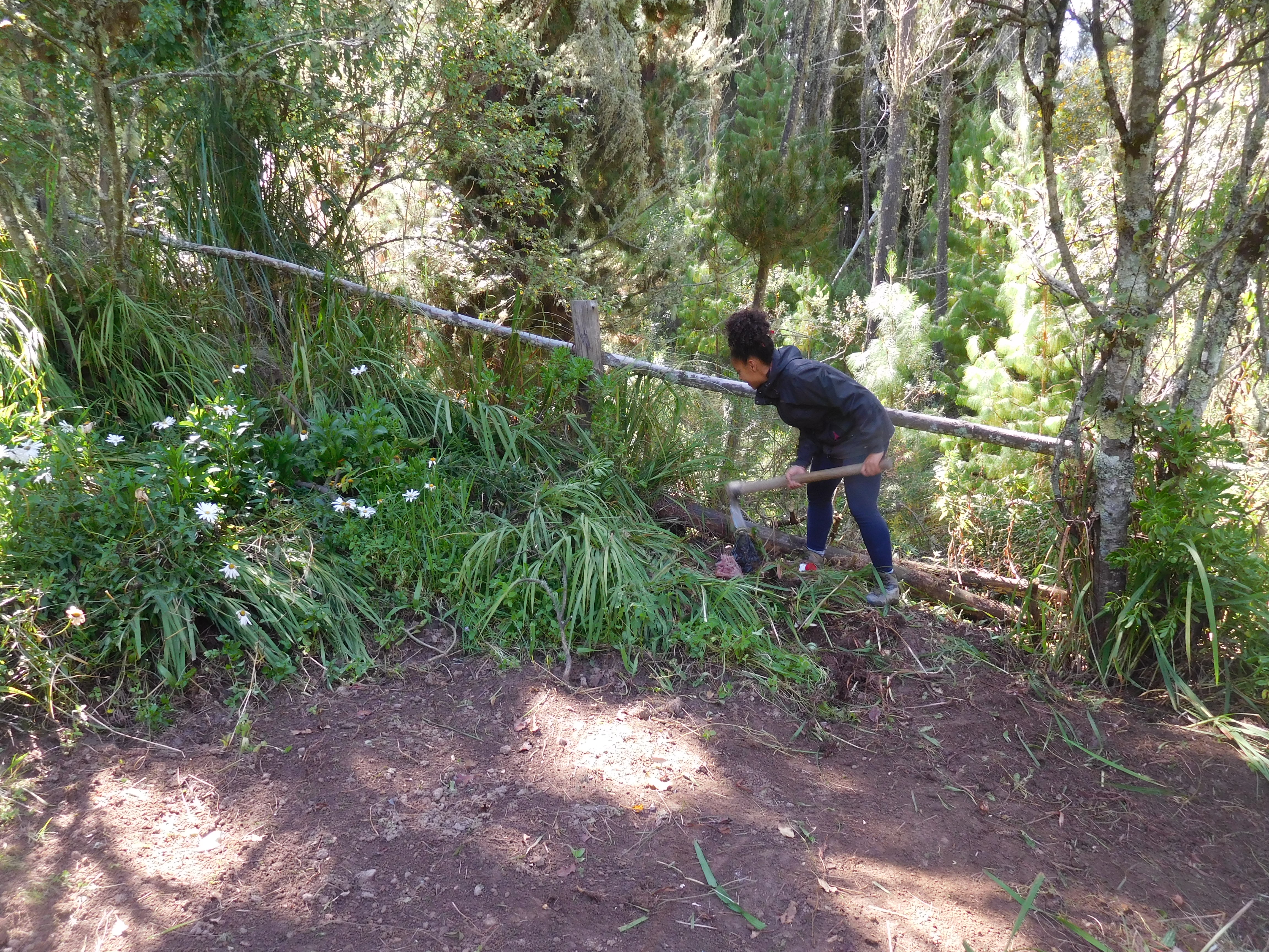 helpx dans un centre ecologique en bolivie