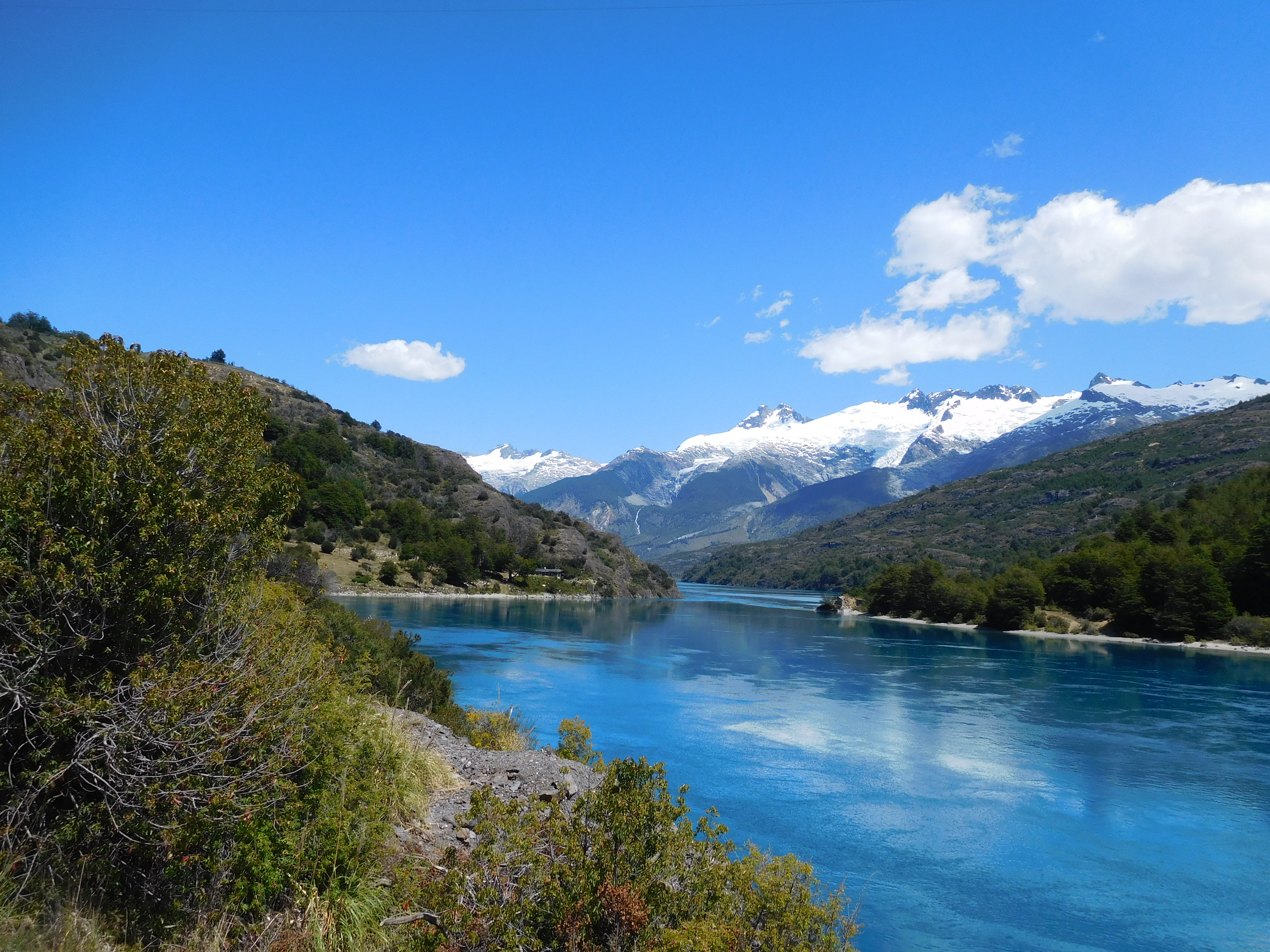 fotzroy en argentine