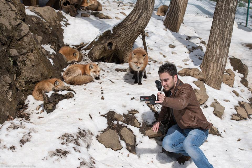 ichiban nature film