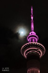 Auckland, une métropole où vivre en Nouvelle-Zélande