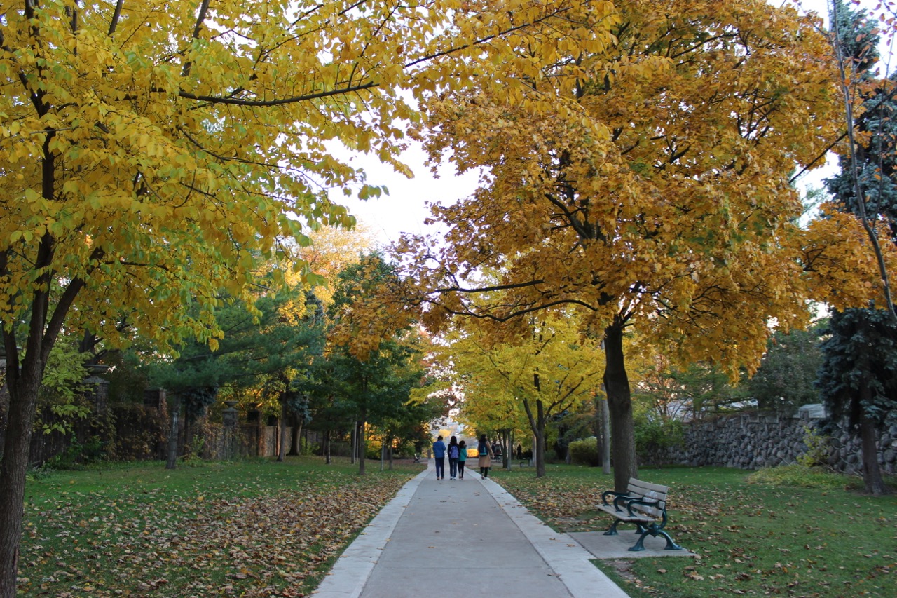 Toronto en automne