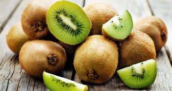 Comment faire du Fruit Picking de kiwis en Nouvelle-Zélande ? Travailler en Nouvelle-Zélande