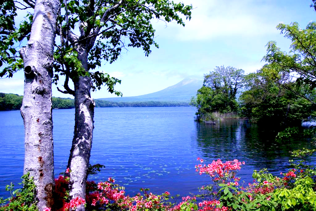 Le parc onuma à Hakodate