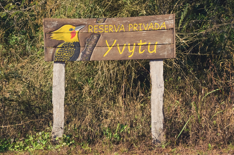  volontariat dans la réserve Yvytu