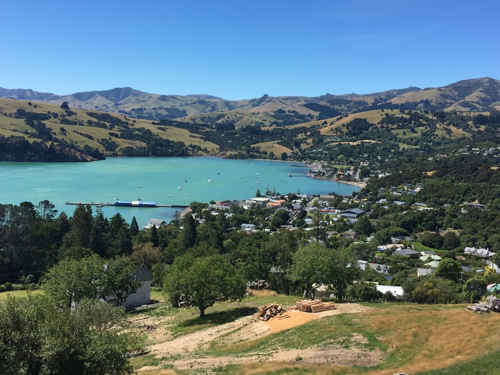 Travailler dans les vignes à Akaroa