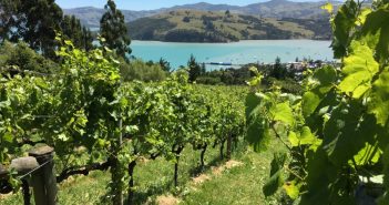 Du HelpX à Akaroa…l’expérience de Sophie et Guillaume en NZ Comment faire du HelpX en Nouvelle-Zelande ?