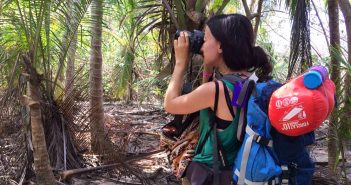 Visiter le Parc Tayrona en Colombie par Amélie
