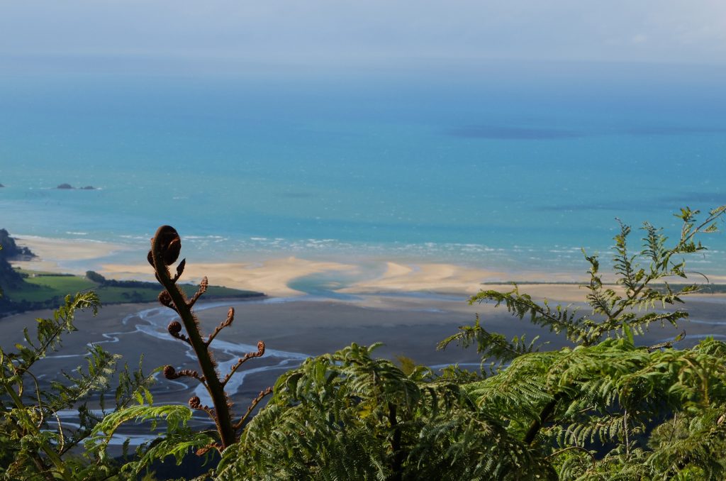 HelpX dans la Golden Bay