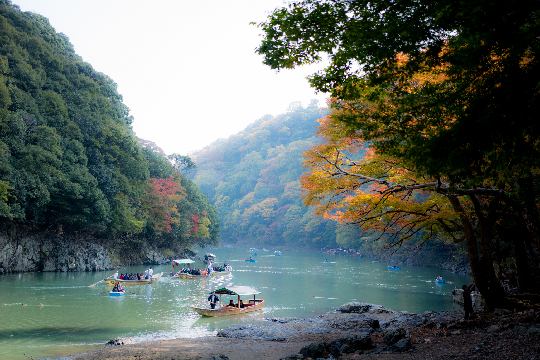 Voyage dans la bambouseraie d'Arashiyama