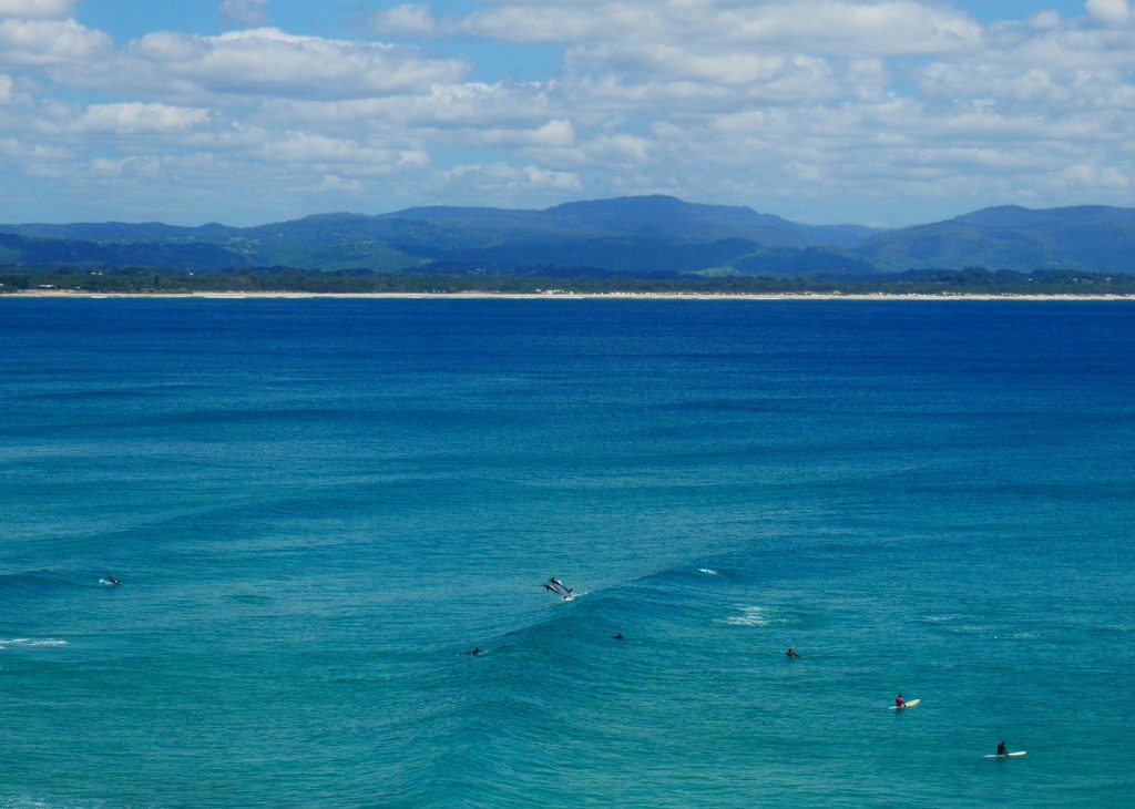 faire du surf avec des dauphins en Australie