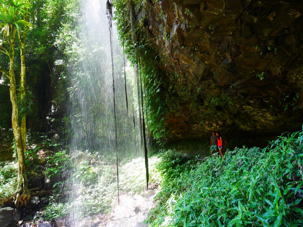 Crystal Shower Falls à Dorrigo