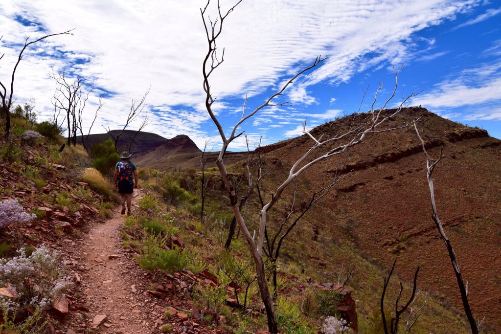 Faire une randonnée dans le Karijini National Park
