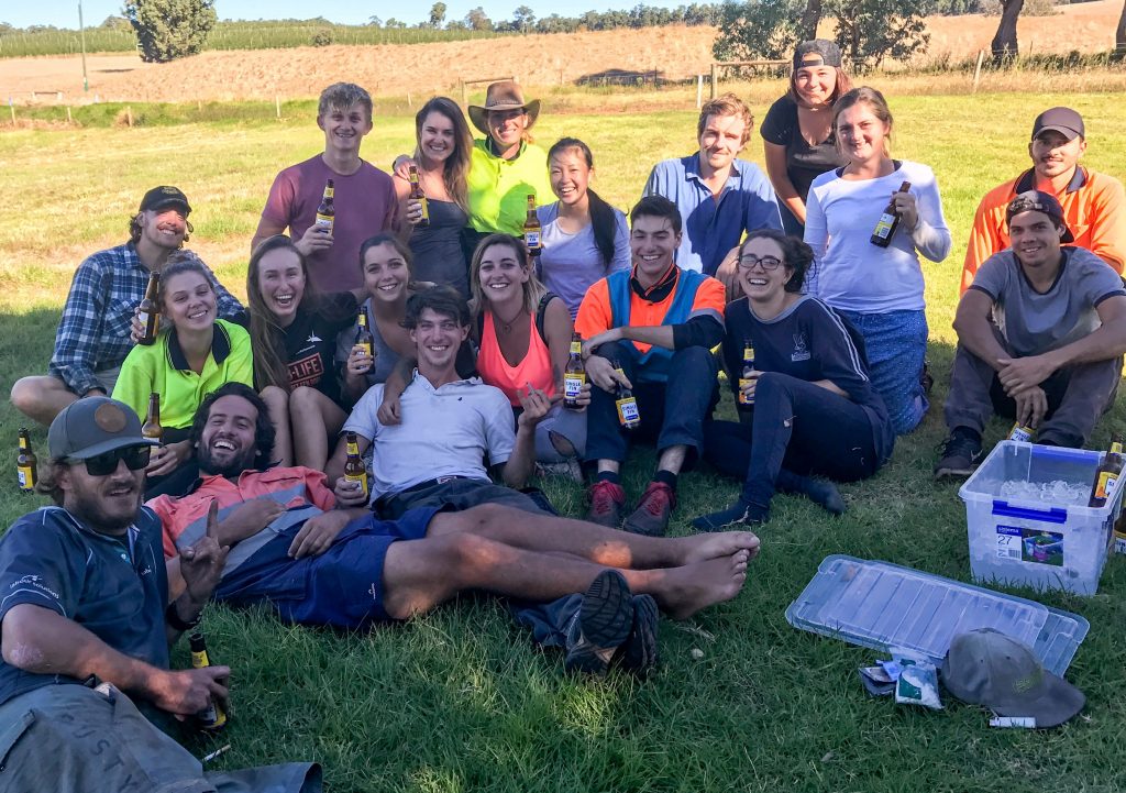 travailler dans les vignes en Australie