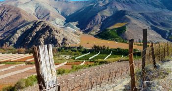 Un road-trip dans la vallée de l’Elqui, par Clémence et Nicolas Visiter la vallee de l'Elqui au Chili